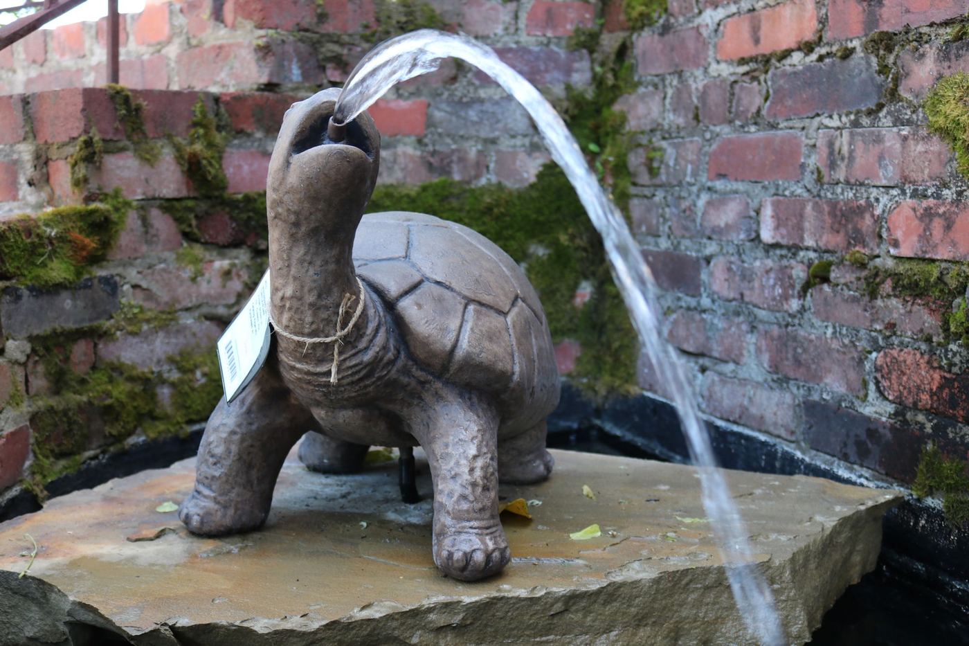 Cast-stone turtle spitter arcing water into a pond